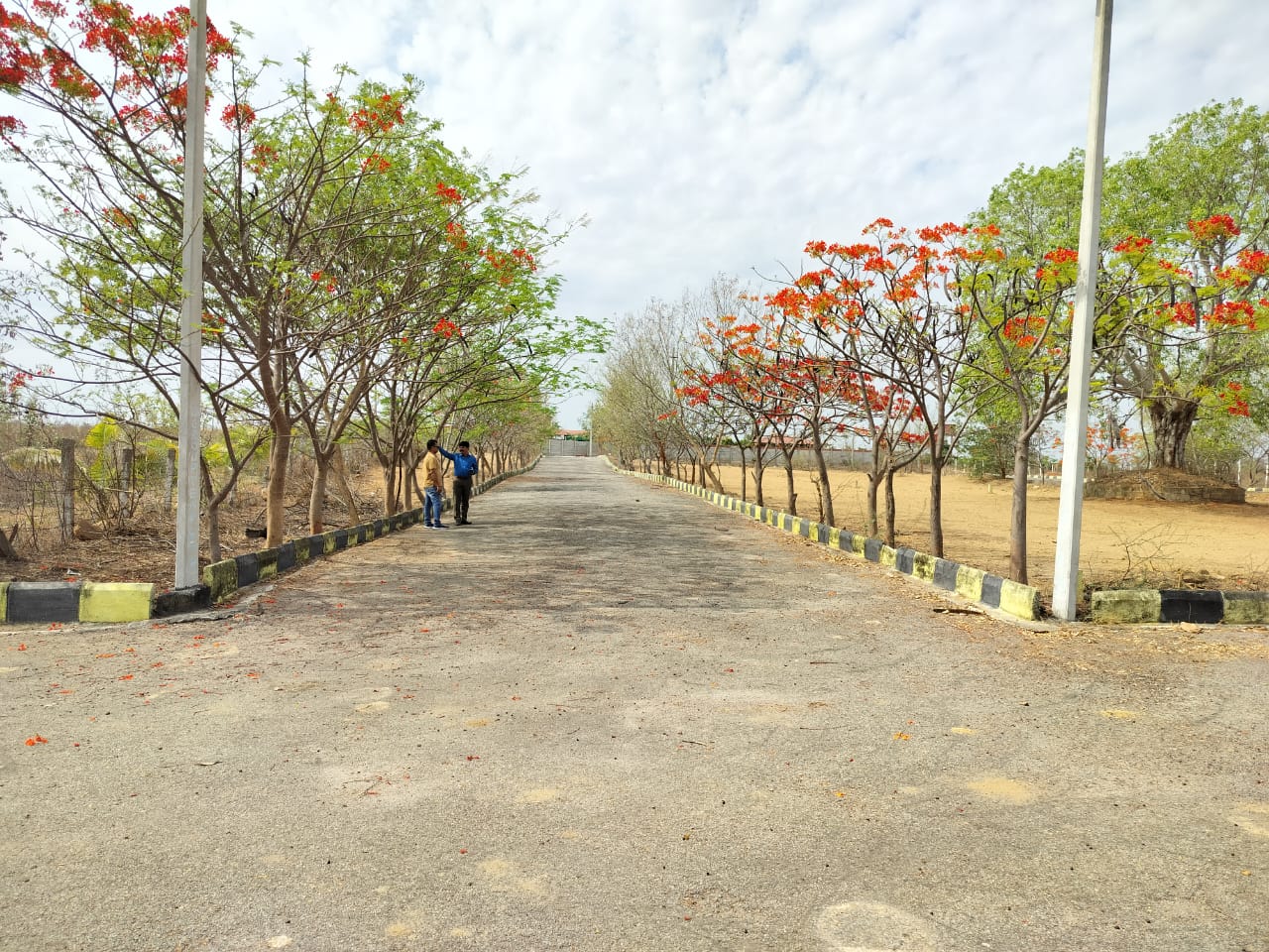 t2